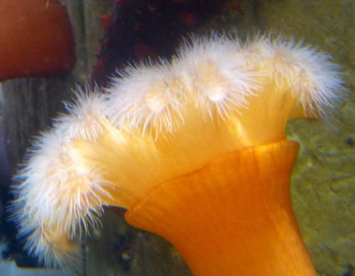 P1130457