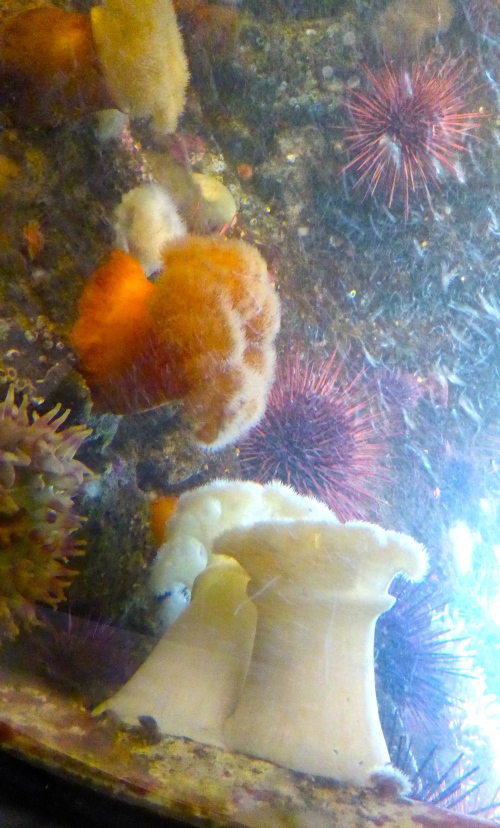 P1150278