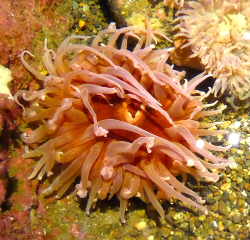 P1150296