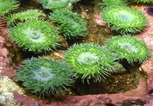 P1150298