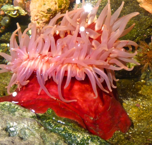 P1150310