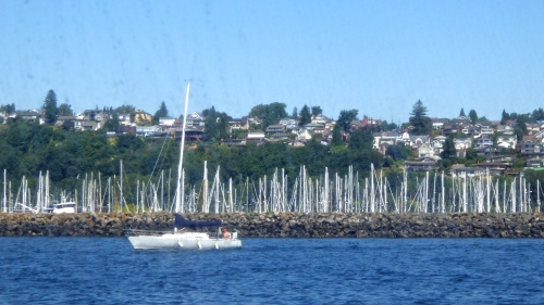 P1150449