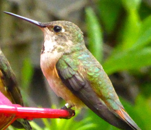 P1100022 - Version 2.JPG