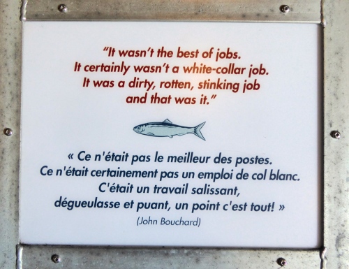 P1130022.JPG