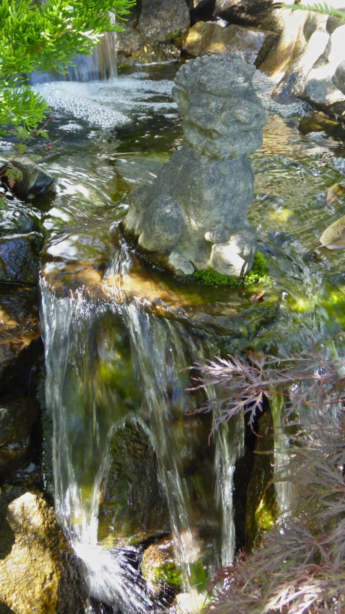 P1130235.jpg