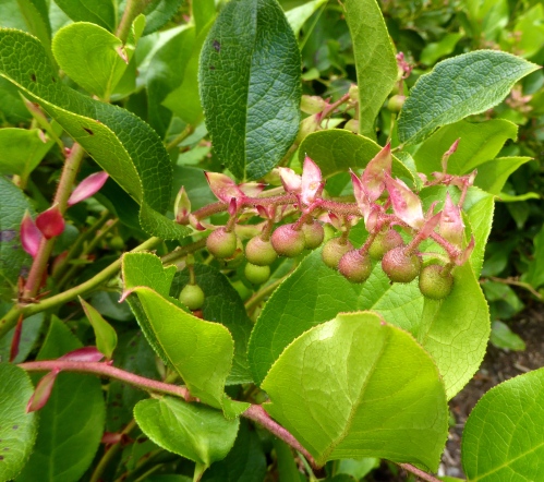 P1130302.JPG
